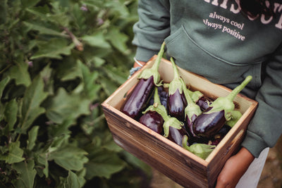 Unveiling the Versatile Eggplant: From Farm to Table