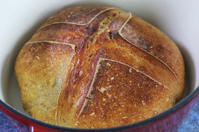 Is Sourdough Bread Healthier Than Bread Baked with Regular Yeast?