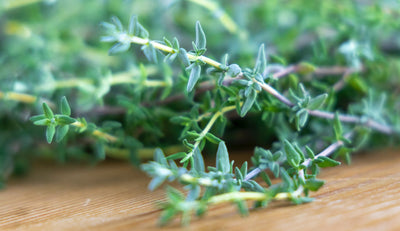 What is a spring of thyme?