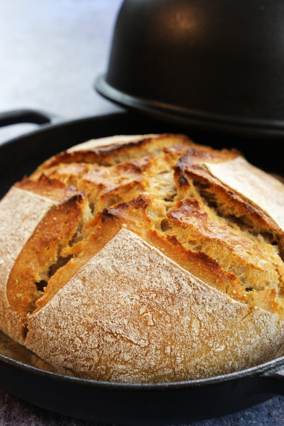 Støpejern brødform, surdeigs håndverksbrød ovn – rund 26 cm, 6,25 L (6,6 qt) – dyp lokk for dampbaking