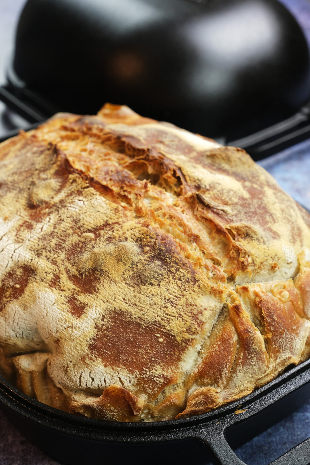cast iron bread pan with lid with sourdough vertical